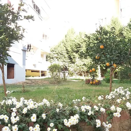 Apartment Alis Aktas *
