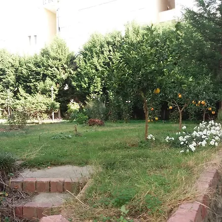Alis Aktas